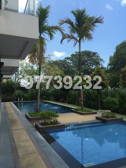 Eastwood Regency (D16), Apartment #120749342